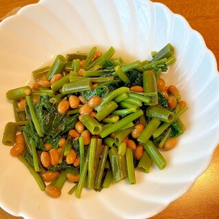 さっぱり！納豆とアサガオ菜（空芯菜）＜ヴィーガン＞